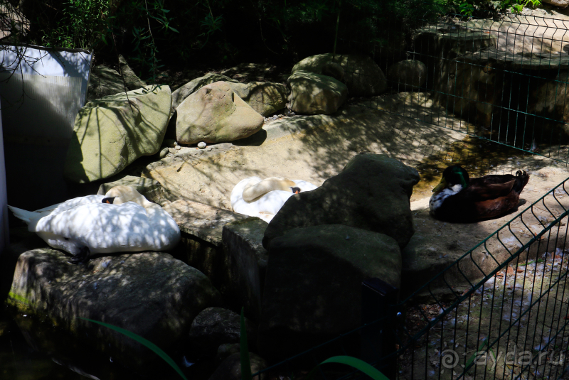 Парк Парадиз. Санаторий Айвазовское. Партенит. Крым