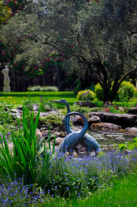 Парк Парадиз. Санаторий Айвазовское. Партенит. Крым