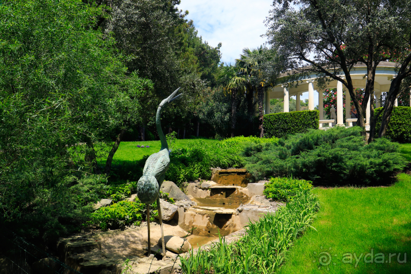 Парк Парадиз. Санаторий Айвазовское. Партенит. Крым