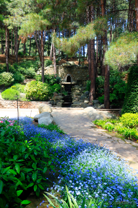 Парк Парадиз. Санаторий Айвазовское. Партенит. Крым