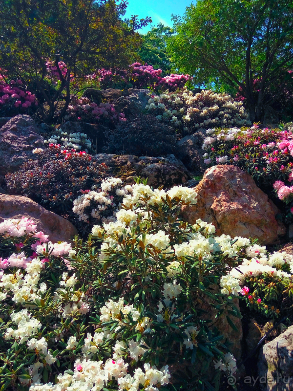 Парк Парадиз. Санаторий Айвазовское. Партенит. Крым