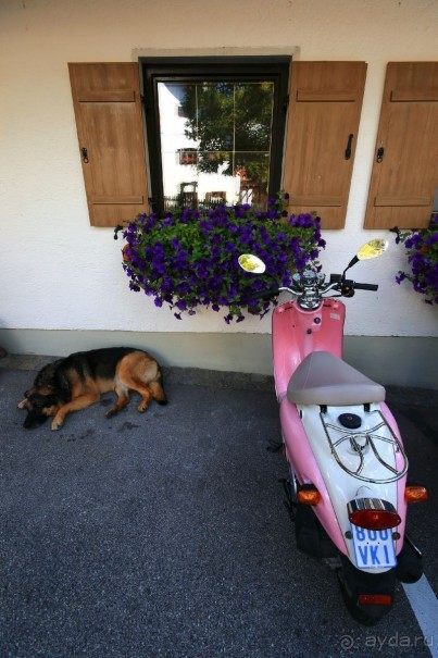 Альбом отзыва "Бавария. Фюссен. Удивительно, но случается. Часть вторая. Отель. (Письмо)."