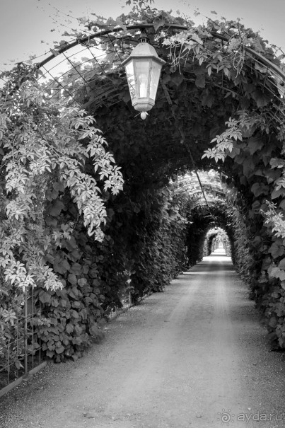 Рига, окрестности. Рундальский дворец и сад. Архитектор Франческо Бартоломео Растрелли.