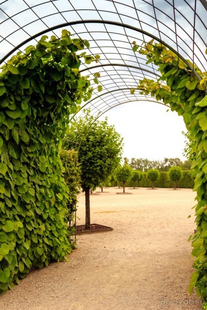 Рига, окрестности. Рундальский дворец и сад. Архитектор Франческо Бартоломео Растрелли.