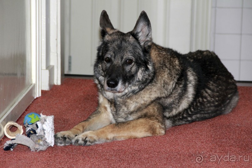 Интересный отель в романтичном месте по приемлемой цене