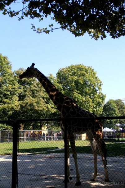 Альбом отзыва "Приезжайте в Вену!"