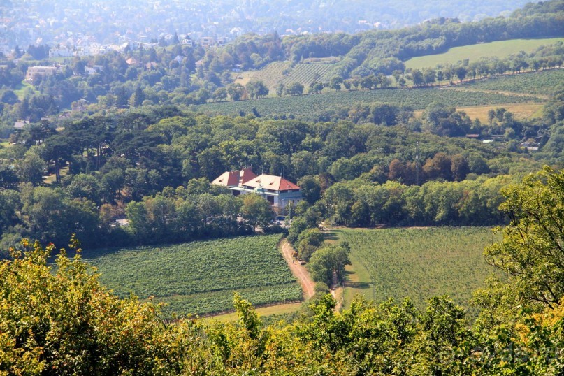 Альбом отзыва "Приезжайте в Вену!"