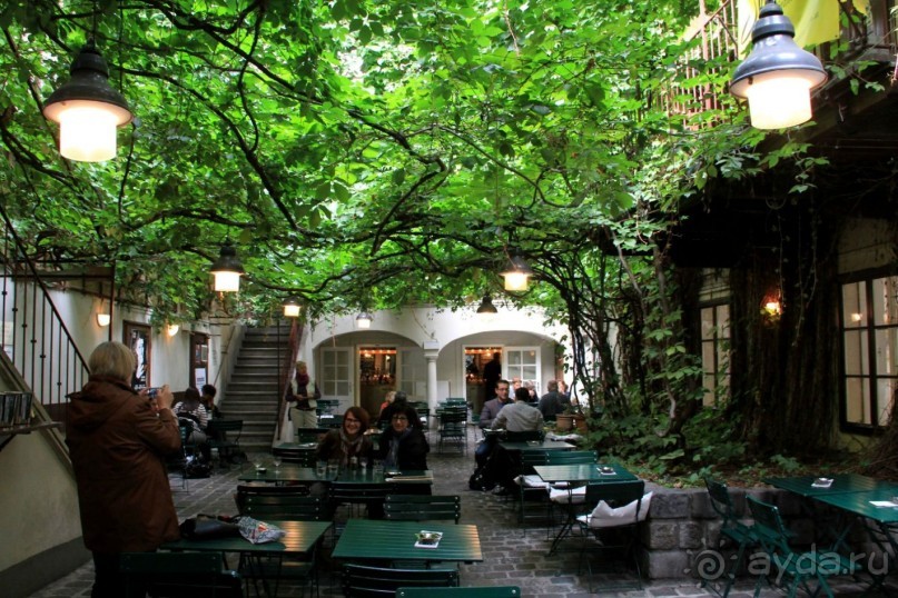 Приезжайте в Вену!