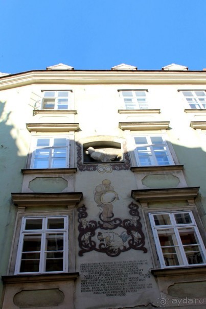 Приезжайте в Вену!