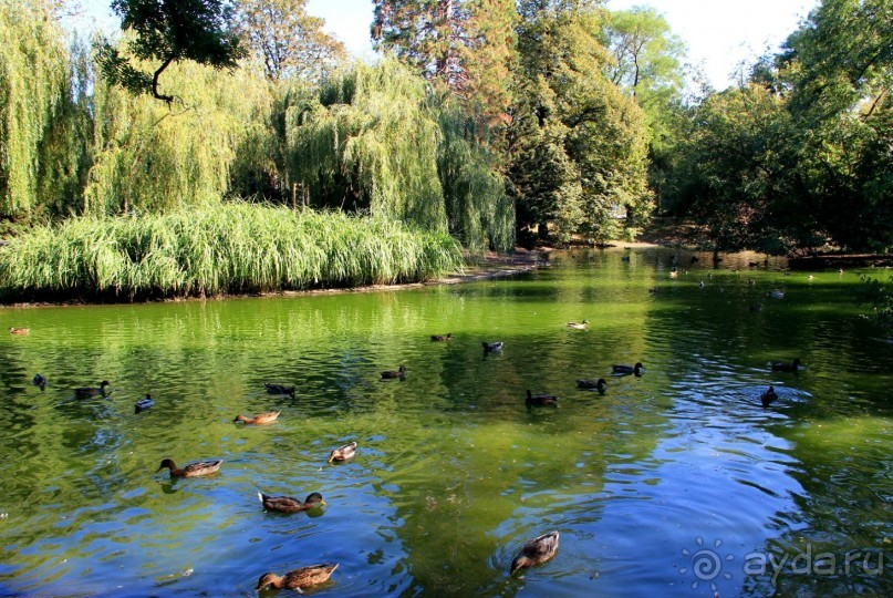 Приезжайте в Вену!