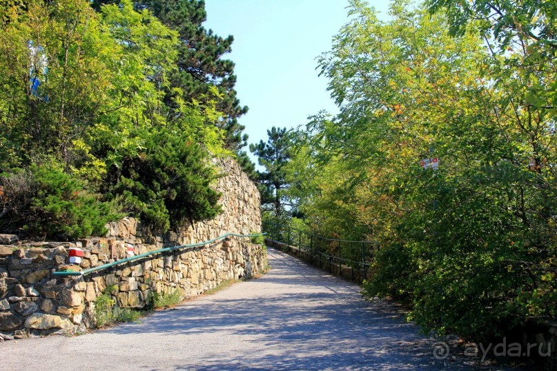 Приезжайте в Вену!