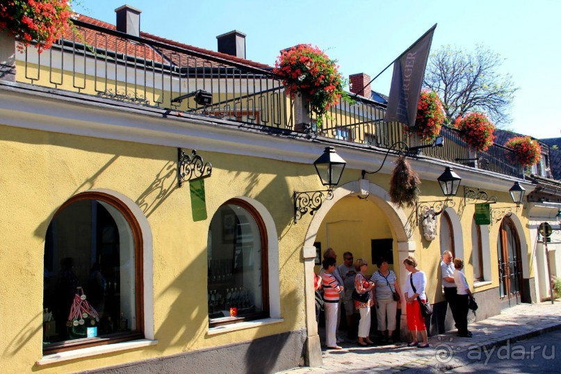 Приезжайте в Вену!