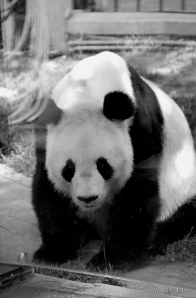 Приезжайте в Вену!