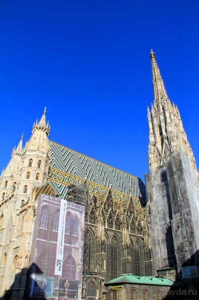 Приезжайте в Вену!