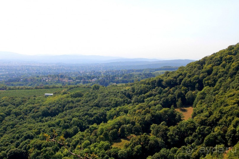Приезжайте в Вену!