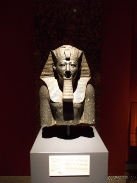 Приезжайте в Вену!