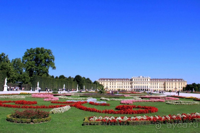 Приезжайте в Вену!