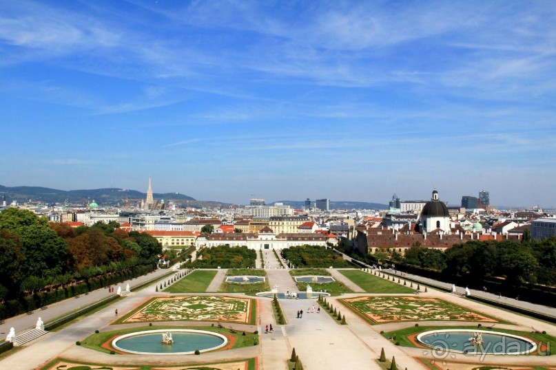 Приезжайте в Вену!