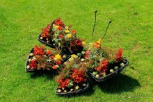 Летом Вена великолепна