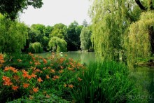 Летом Вена великолепна