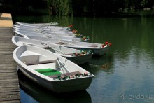 Летом Вена великолепна