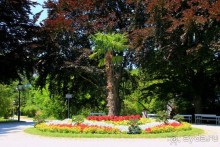 Летом Вена великолепна