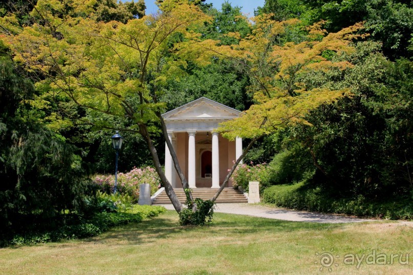 Летом Вена великолепна