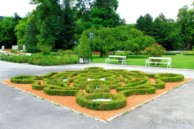 Летом Вена великолепна