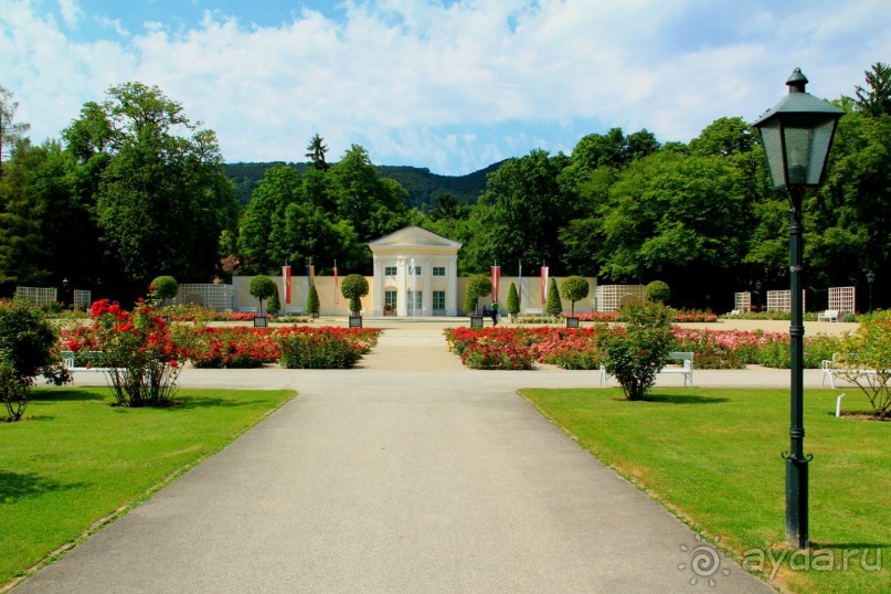 Летом Вена великолепна