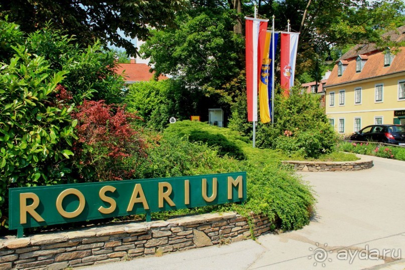 Летом Вена великолепна