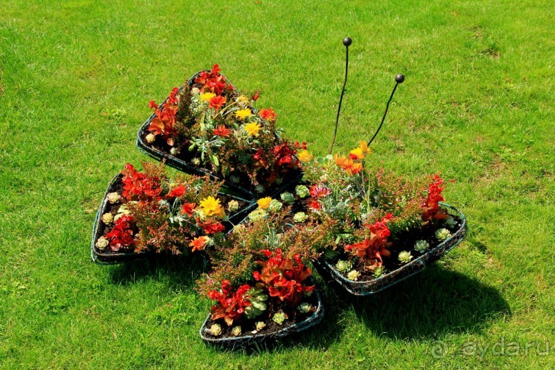 Летом Вена великолепна