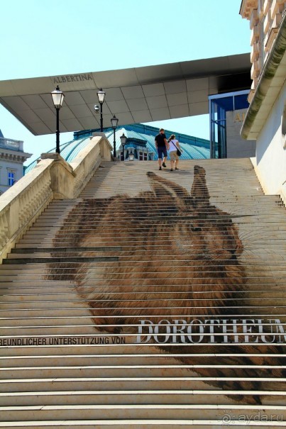 Летом Вена великолепна