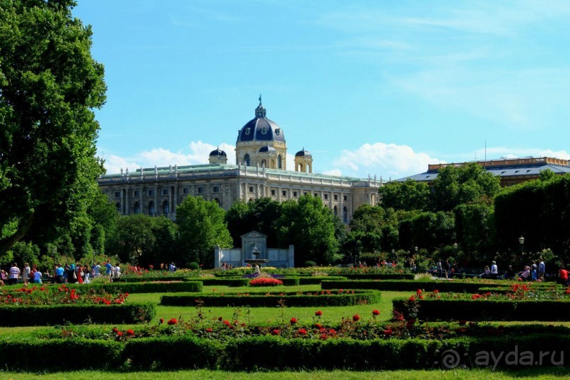 Летом Вена великолепна