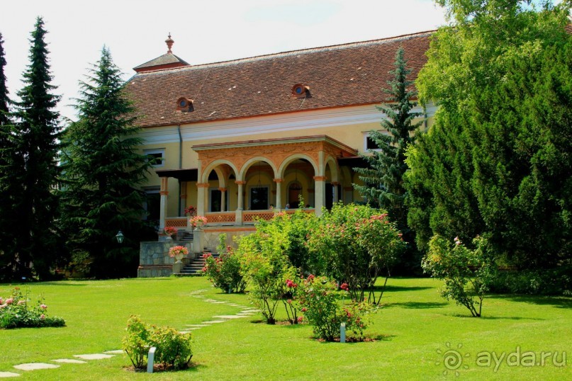 Летом Вена великолепна