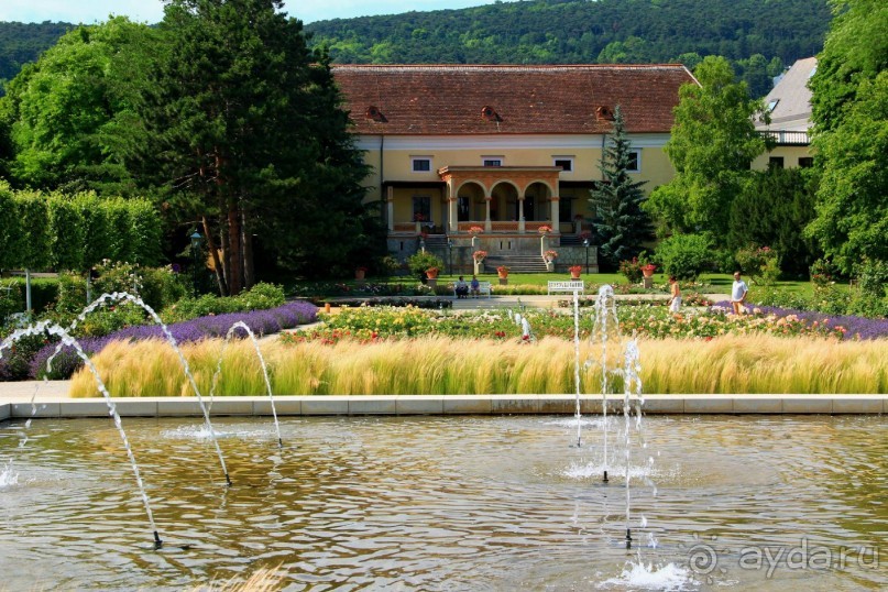 Летом Вена великолепна