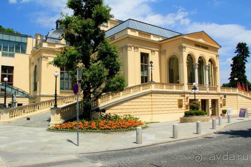 Летом Вена великолепна