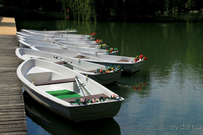 Летом Вена великолепна