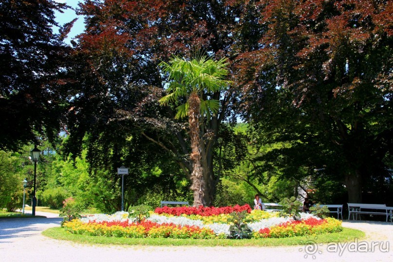 Летом Вена великолепна