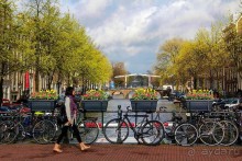 Альбом отзыва "АМСТЕРДАМ. СЫРЫ, СЕЛЁДОЧКА И ВАФЛИ."