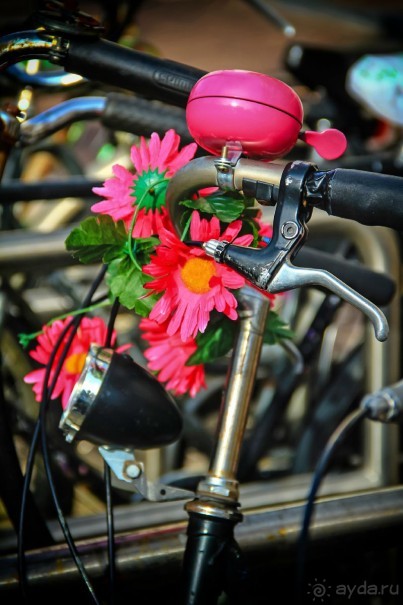 Альбом отзыва "АМСТЕРДАМ. СЫРЫ, СЕЛЁДОЧКА И ВАФЛИ."