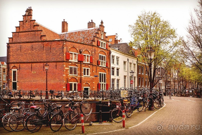 Альбом отзыва "АМСТЕРДАМ. СЫРЫ, СЕЛЁДОЧКА И ВАФЛИ."