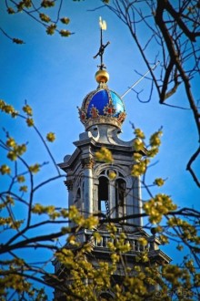 АМСТЕРДАМ. СЫРЫ, СЕЛЁДОЧКА И ВАФЛИ.