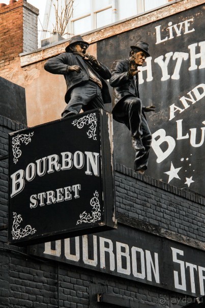 Альбом отзыва "АМСТЕРДАМ. СЫРЫ, СЕЛЁДОЧКА И ВАФЛИ."