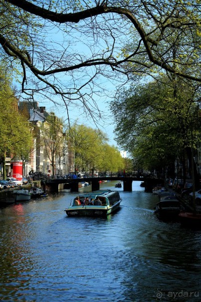 Альбом отзыва "АМСТЕРДАМ. СЫРЫ, СЕЛЁДОЧКА И ВАФЛИ."