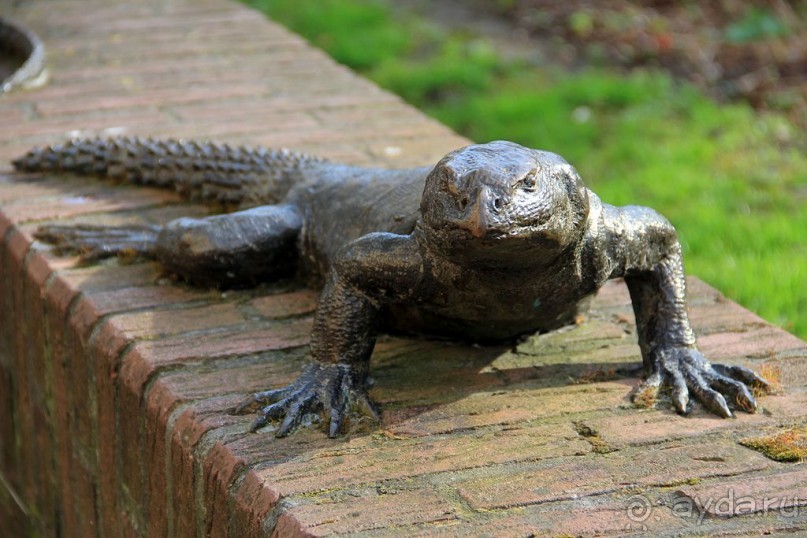 Альбом отзыва "АМСТЕРДАМ. СЫРЫ, СЕЛЁДОЧКА И ВАФЛИ."