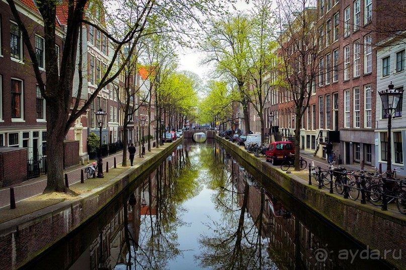 Альбом отзыва "АМСТЕРДАМ. СЫРЫ, СЕЛЁДОЧКА И ВАФЛИ."