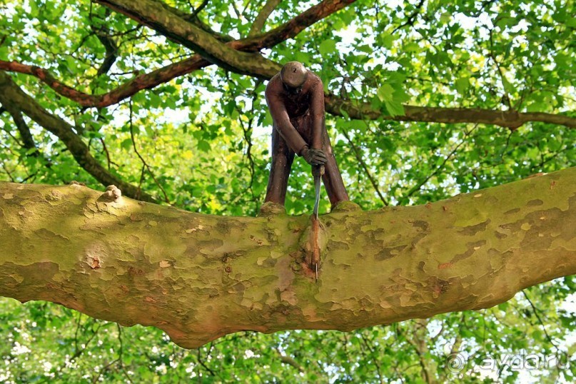 Альбом отзыва "АМСТЕРДАМ. СЫРЫ, СЕЛЁДОЧКА И ВАФЛИ."