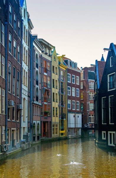 Альбом отзыва "АМСТЕРДАМ. СЫРЫ, СЕЛЁДОЧКА И ВАФЛИ."