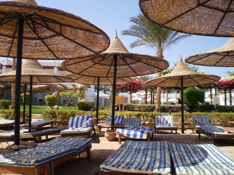фото Melton Tiran Resort 