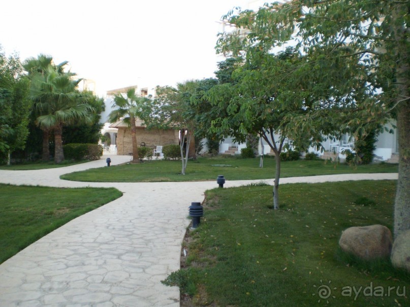 фото Melton Tiran Resort 